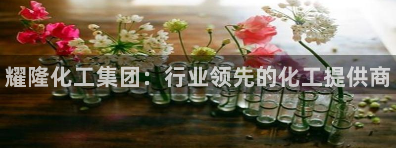 球盟会娱乐平台：耀隆化工集团：行业领先的化工提供商