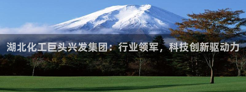 球盟会官方登录平台入口