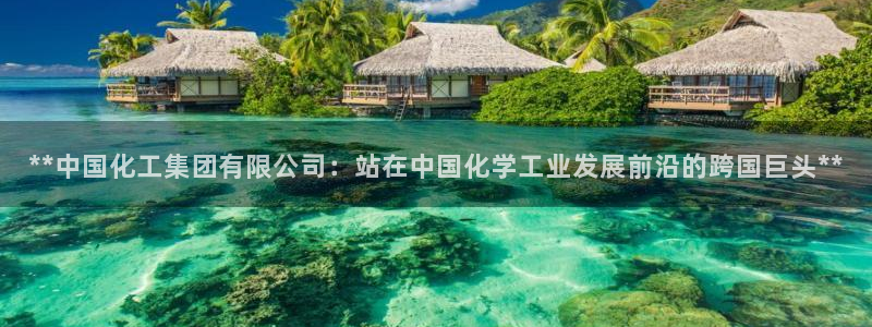 球盟会官方平台入口：**中国化工集团有限公司：站在中国化学工