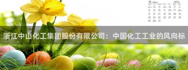 球盟会app最新地址在哪看：浙江中山化工集团股份有限公司：中