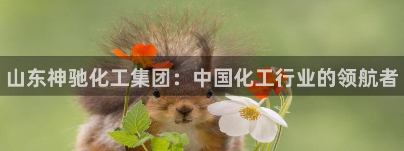 球盟会qmh网页版登录：山东神驰化工集团：中国化工行业的领航