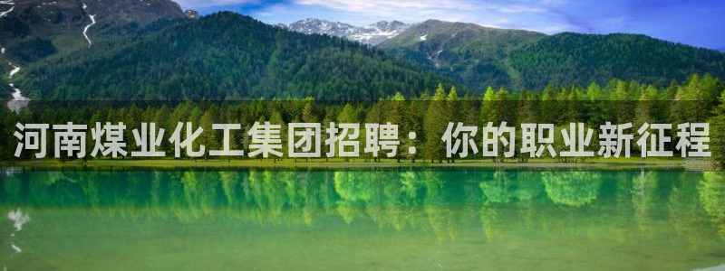 球盟会用的客服聊天是哪个软件