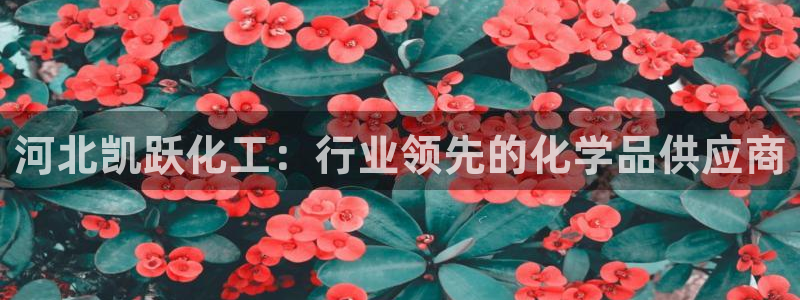 球盟会qm8597：河北凯跃化工：行业领先的化学品供应商
