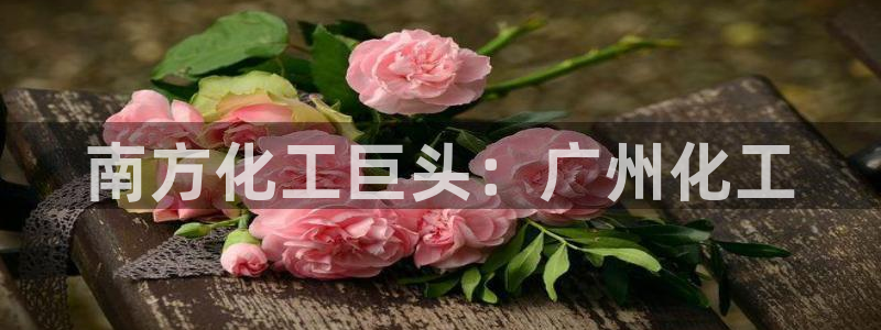 球盟会app入口：南方化工巨头：广州化工