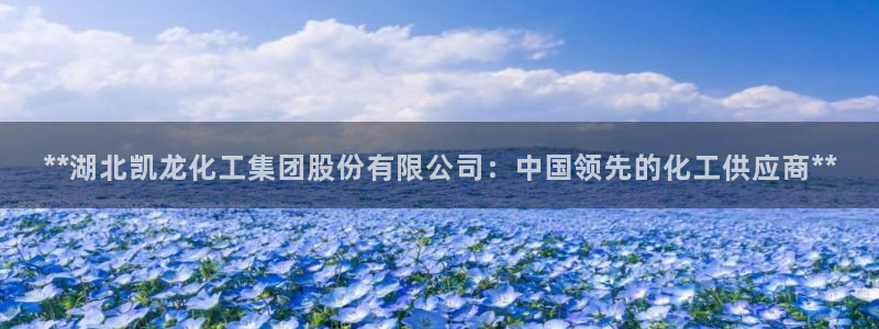 球盟会官方版下载地址：**湖北凯龙化工集团股份有限公司：中国