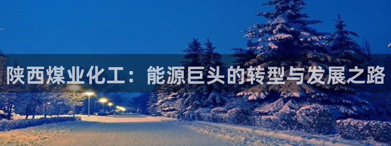 球盟会和中欧会的区别