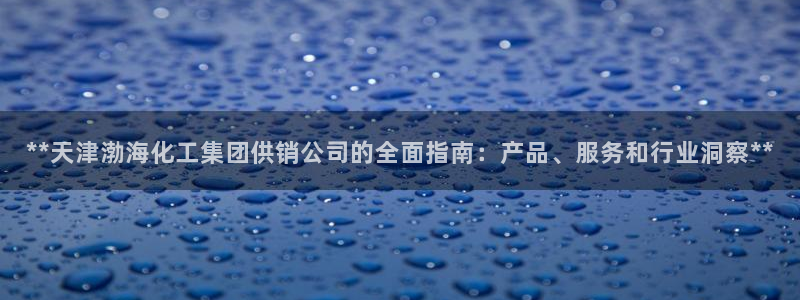 球盟会和中欧：**天津渤海化工集团供销公司的全面指南：产品、