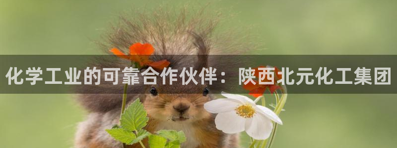 球盟会黑款吗：化学工业的可靠合作伙伴：陕西北元化工集团