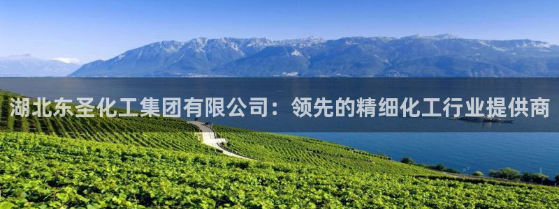 球盟会有限公司怎么样：湖北东圣化工集团有限公司：领先的精细化
