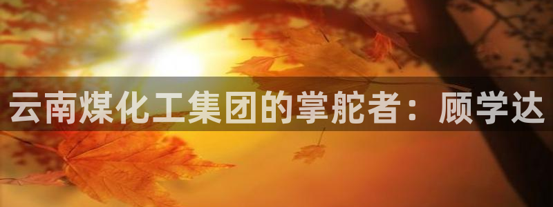 球盟会福利码2023最简单三个步骤：云南煤化工集团的掌舵者：