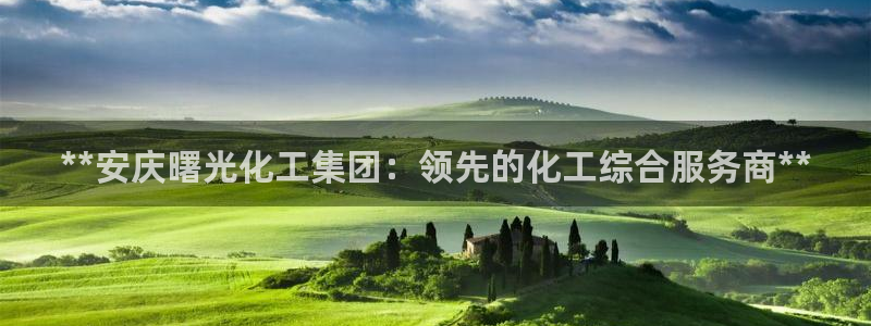 球盟会qmh网址