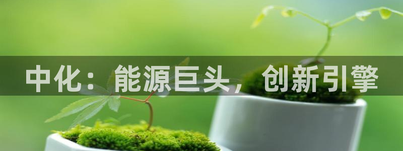 球盟会qmh - 球盟会官方网站：中化：能源巨头，创新引擎