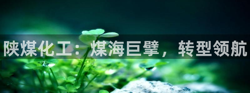 球盟会app最新地址下载安装