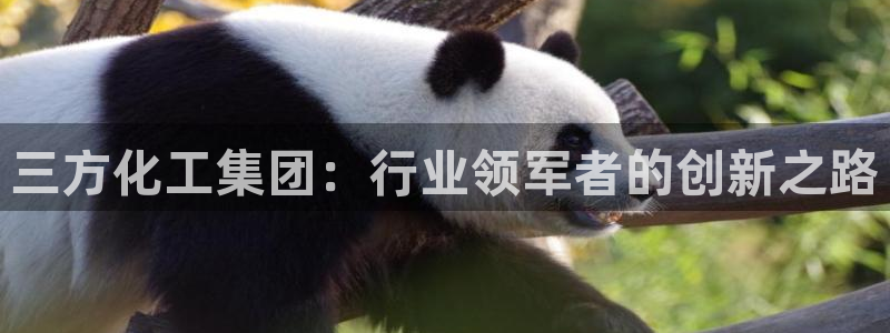 球盟会登录平台入口