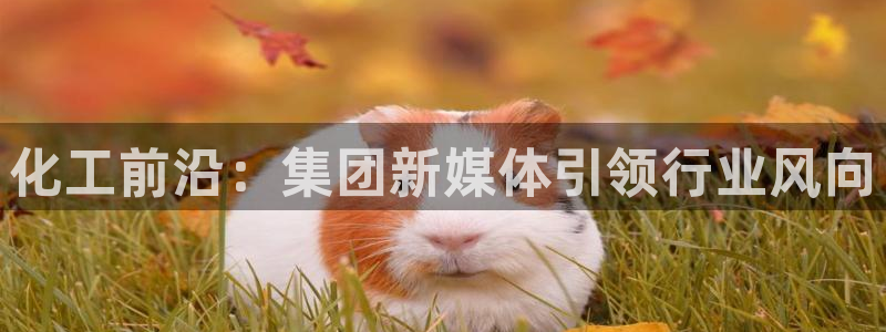 球盟会qmh登录地址