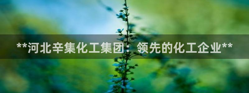 球盟会能退钱吗知乎：**河北辛集化工集团：领先的化工企业**
