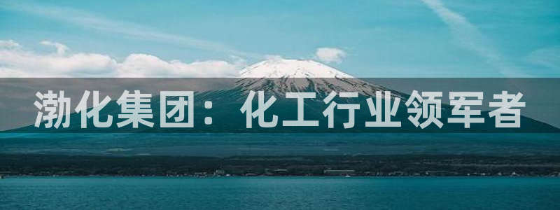 球盟会app最新地址下载安装：渤化集团：化工行业领军者