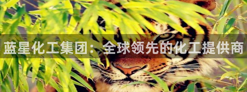球盟会网址qm9 - 球盟会qmh网页版登录：蓝星化工集团：