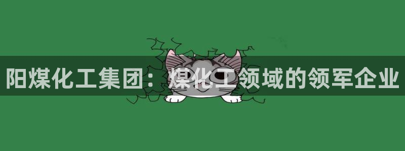球盟会电子好下吗：阳煤化工集团：煤化工领域的领军企业