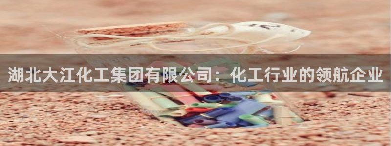 球盟会进不去