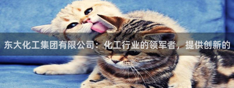 球盟会qmh - 球盟会官方网站：东大化工集团有限公司：化工