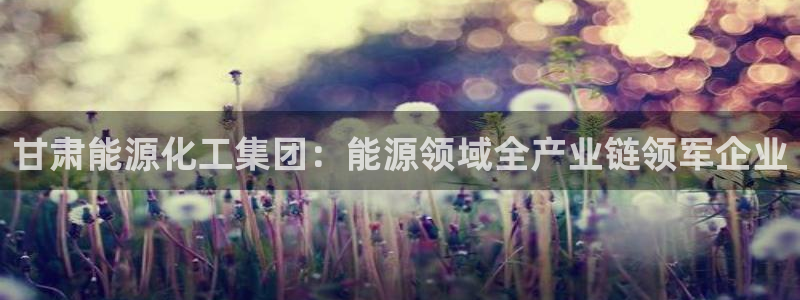 球盟会官方最新入口