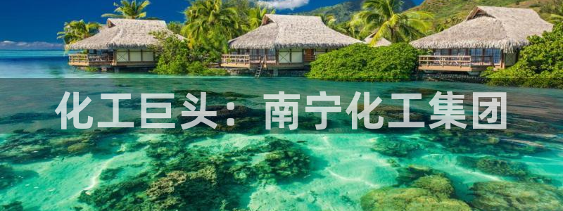 球盟会在线网站：化工巨头：南宁化工集团