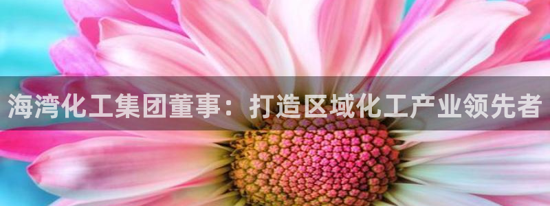 球盟会APP下载