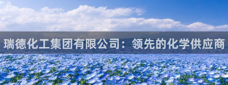 球盟会可靠不：瑞德化工集团有限公司：领先的化学供应商