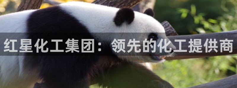 球盟会官方：红星化工集团：领先的化工提供商