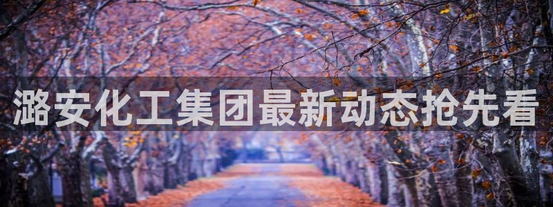球盟会体育app官方网站