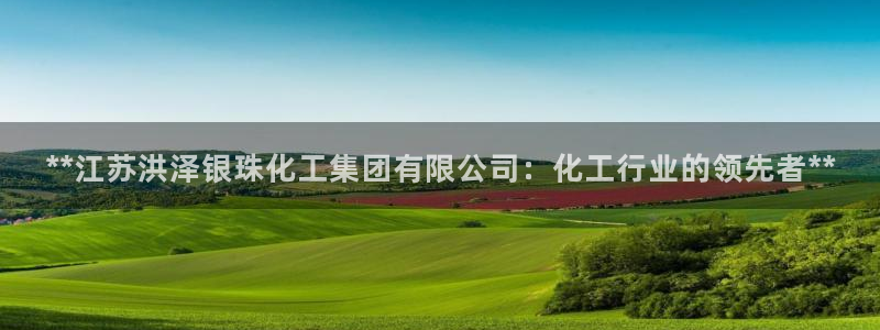 球盟会黑平台：**江苏洪泽银珠化工集团有限公司：化工行业的领