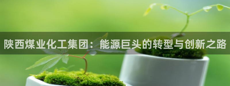 球盟会里面有打牌的嘛是真的吗