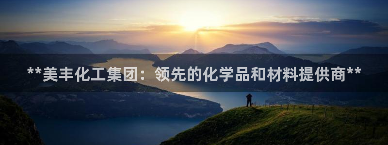 球盟会有限公司怎么样：**美丰化工集团：领先的化学品和材料提