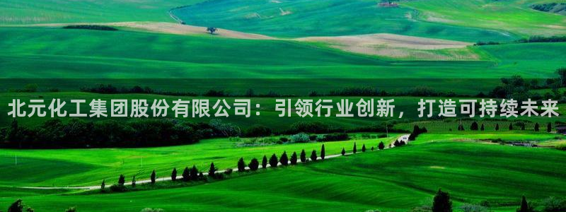 球盟会黑网：北元化工集团股份有限公司：引领行业创新，打造可持