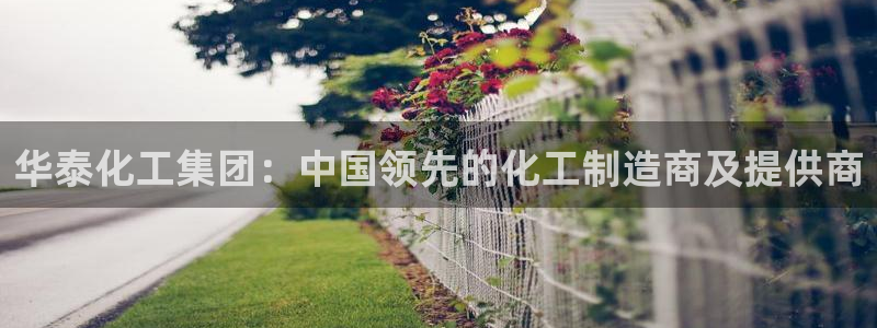 球盟会qmh电子网页版登录：华泰化工集团：中国领先的化工制造