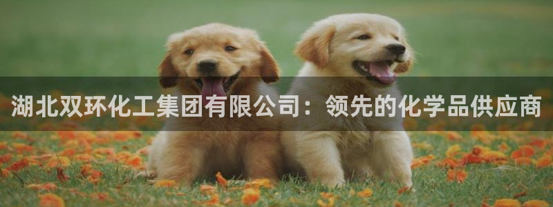球盟会APP最新地址：湖北双环化工集团有限公司：领先的化学品