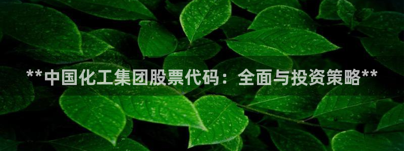 球盟会黑款吗知乎文章