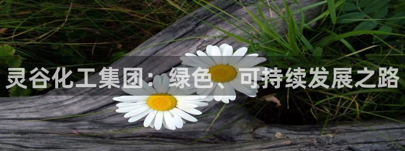 球盟会官方：灵谷化工集团：绿色、可持续发展之路