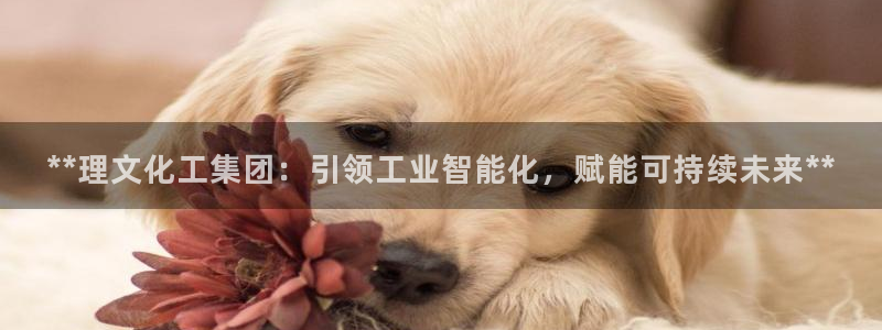 球盟会app最新地址在哪看：**理文化工集团：引领工业智能化