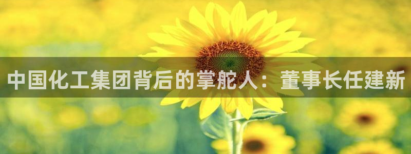 球盟会APP官网