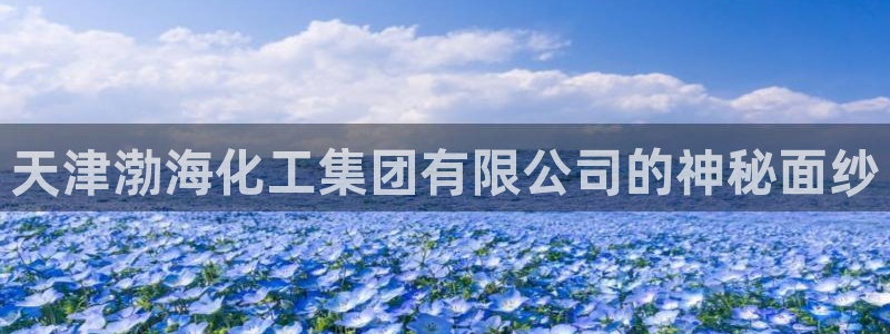 球盟会黑钱