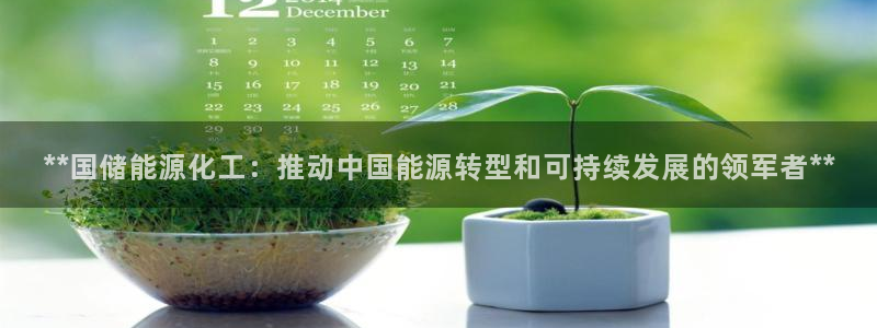 球盟会邮箱：**国储能源化工：推动中国能源转型和可持续发展的