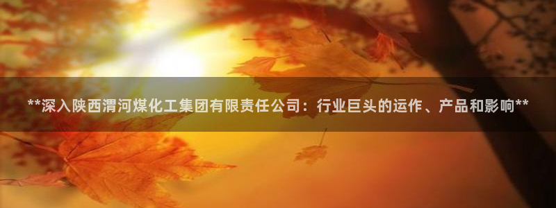 球盟会app最新地址下载：**深入陕西渭河煤化工集团有限责任