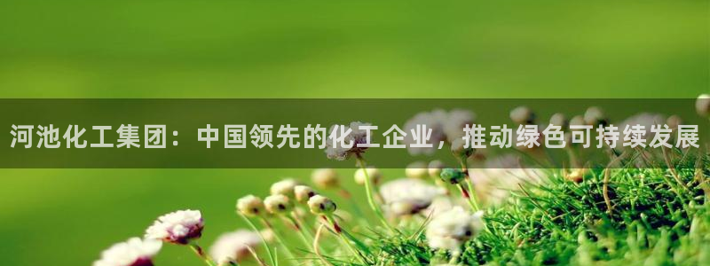 球盟会qmh官网：河池化工集团：中国领先的化工企业，推动绿色
