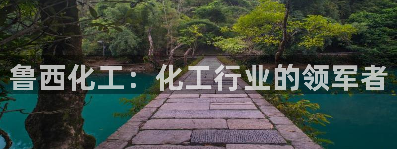 球盟会登录网址