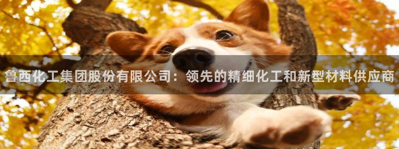 球盟会体验金球奖吗：鲁西化工集团股份有限公司：领先的精细化工