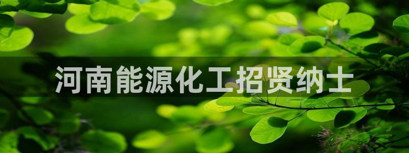球盟会qm8597：河南能源化工招贤纳士