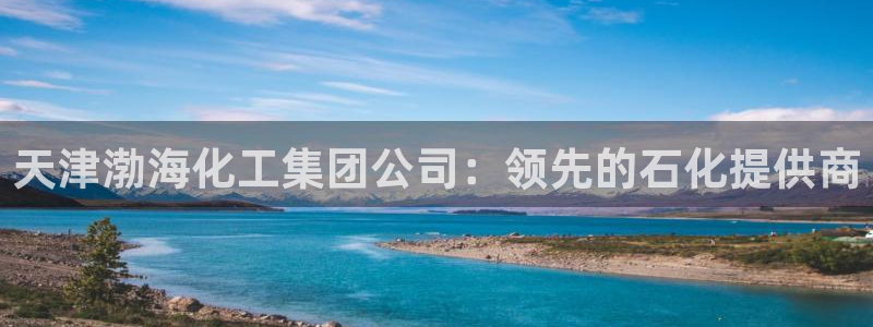 球盟会app安装：天津渤海化工集团公司：领先的石化提供商