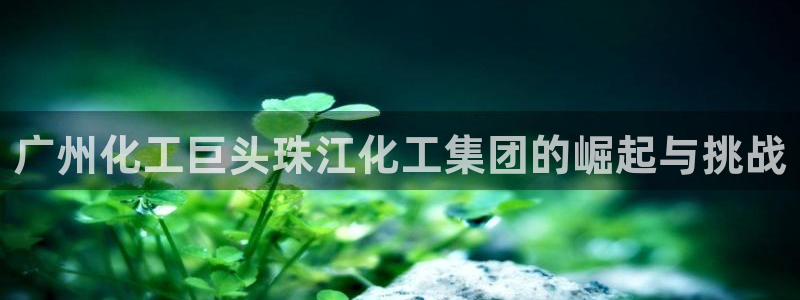 球盟会黑网